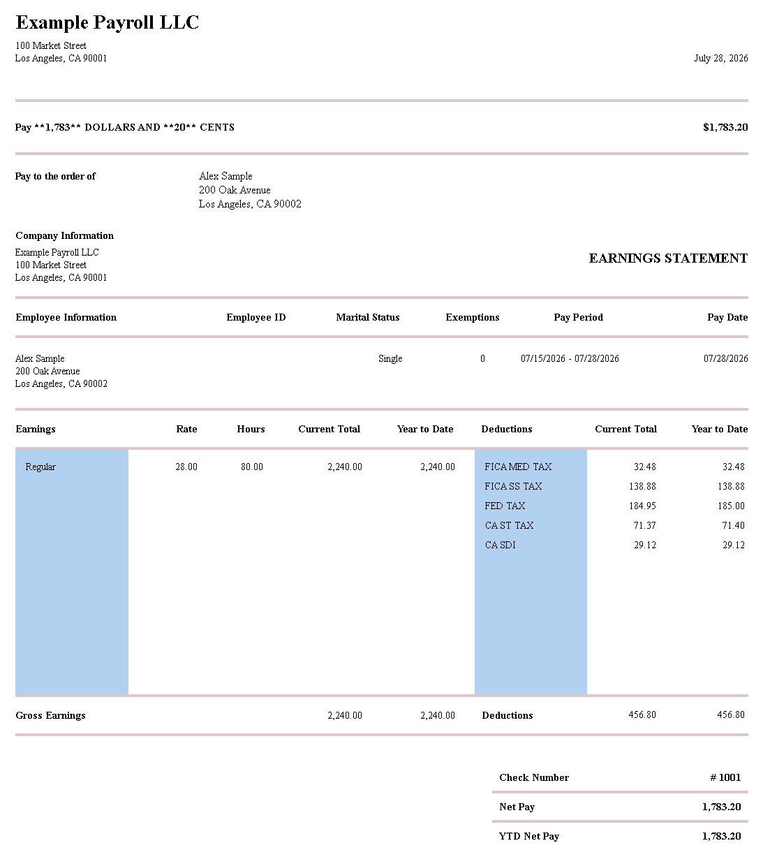 Professional Grid pay stub template preview