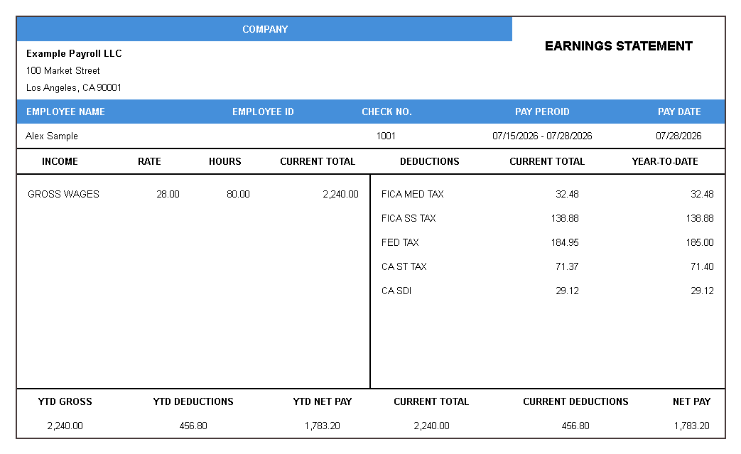 Modern Compact pay stub template preview